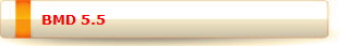 BMD 5.5