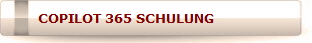 COPILOT 365 SCHULUNG