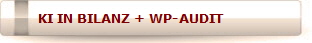 KI IN BILANZ + WP-AUDIT